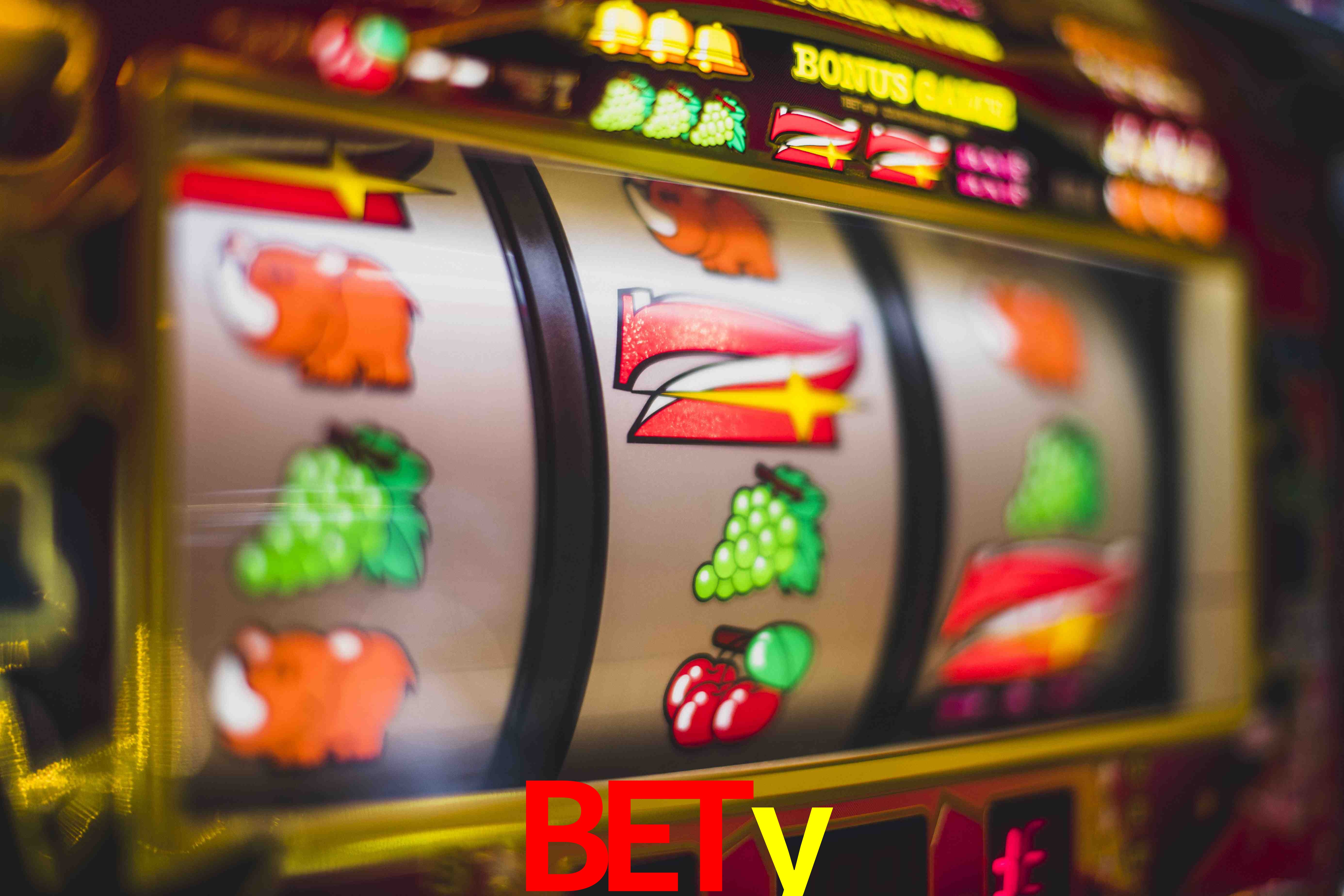 VIP Casino bety